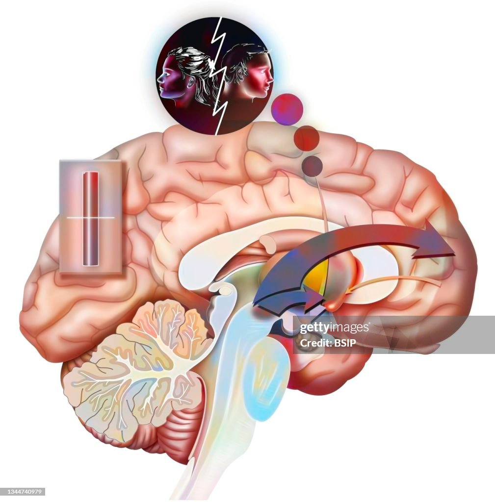 Brain love drawing