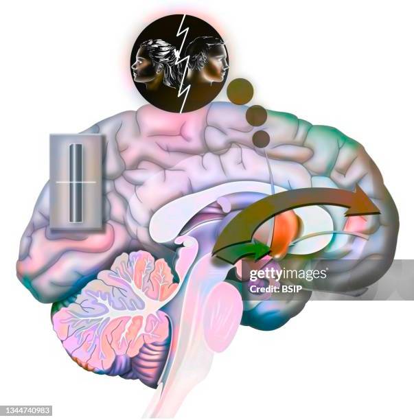 brain love drawing - präfrontaler-cortex stock-grafiken, -clipart, -cartoons und -symbole