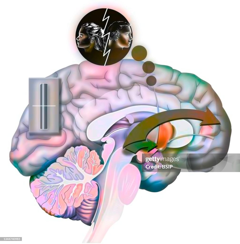Brain love drawing