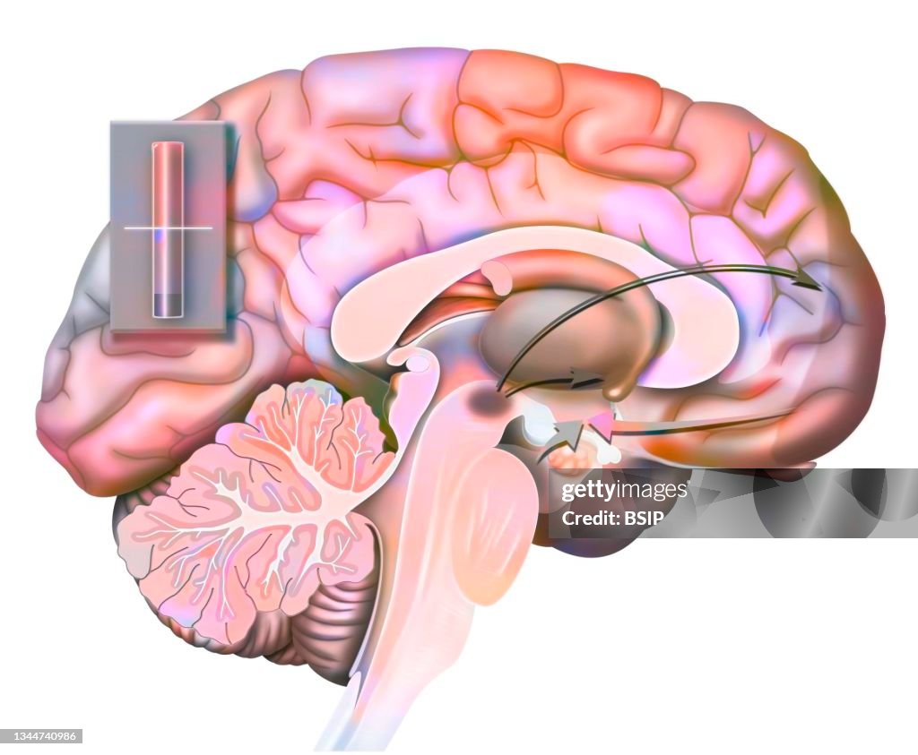 Brain love drawing