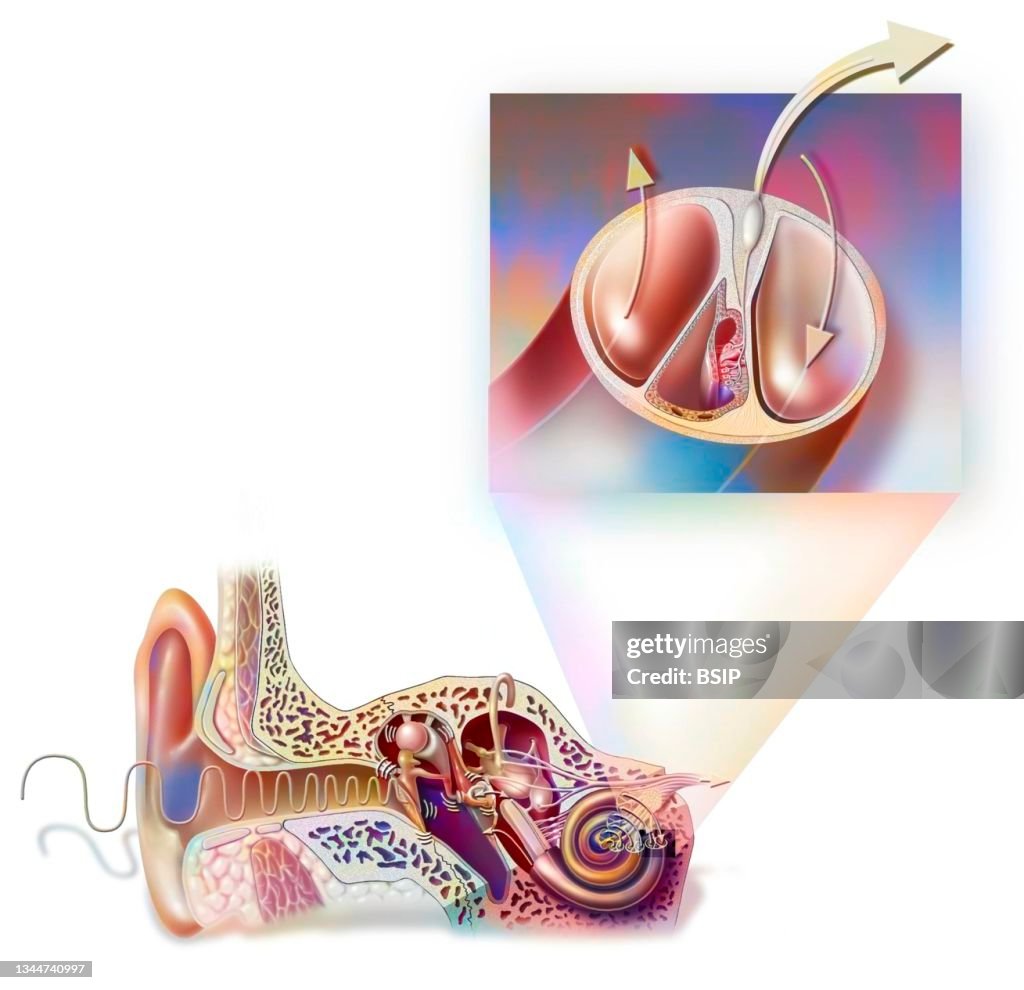 Hearing drawing