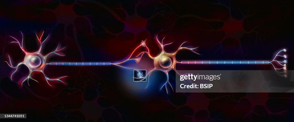 Nerve impulse drawing