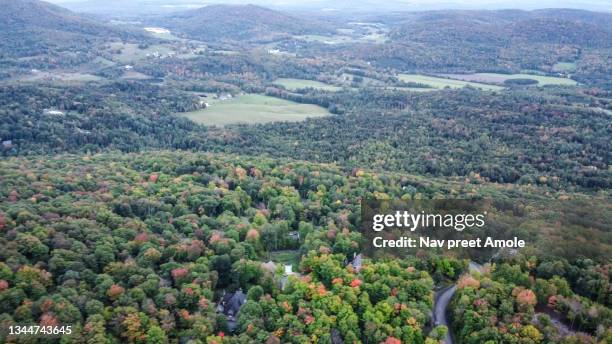 bromont fall landscape with grass, roads and trees - wildlife reserve stock pictures, royalty-free photos & images