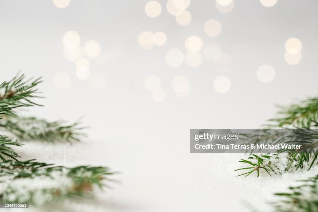 Christmas picture background with fir branches snow and fairy lights. Copy space.