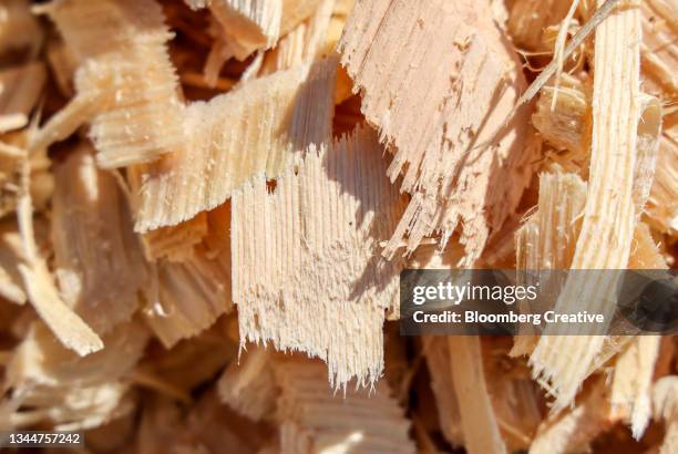 close-up of wood chips - wood shaving stock pictures, royalty-free photos & images