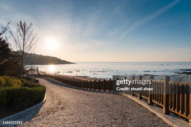road by the sea - brick pathway stock pictures, royalty-free photos & images