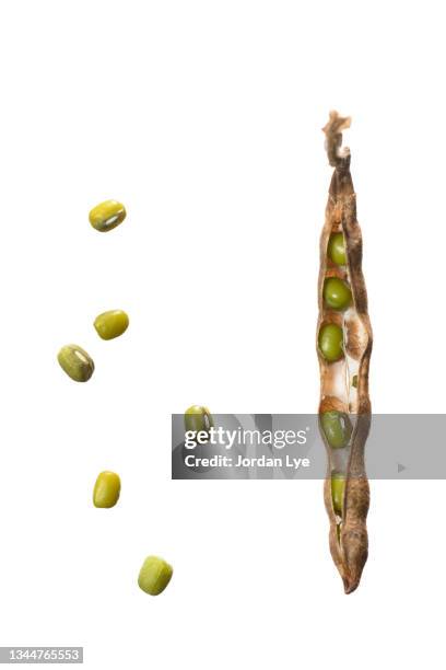 mung bean in shell - mung bean stock pictures, royalty-free photos & images