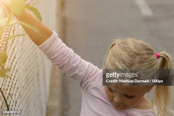 girl standing by fence - darmell bildbanksfoton och bilder