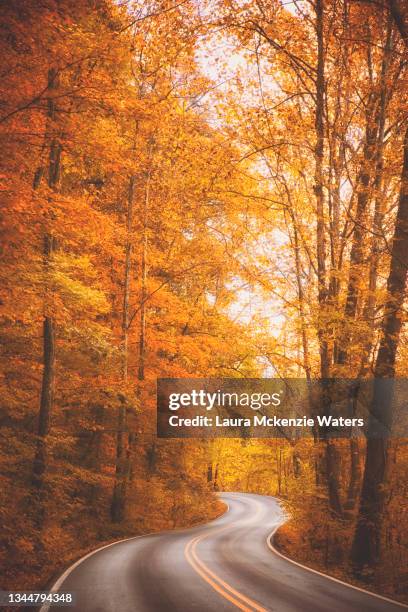 fall backwoods drive - rural kentucky stock pictures, royalty-free photos & images