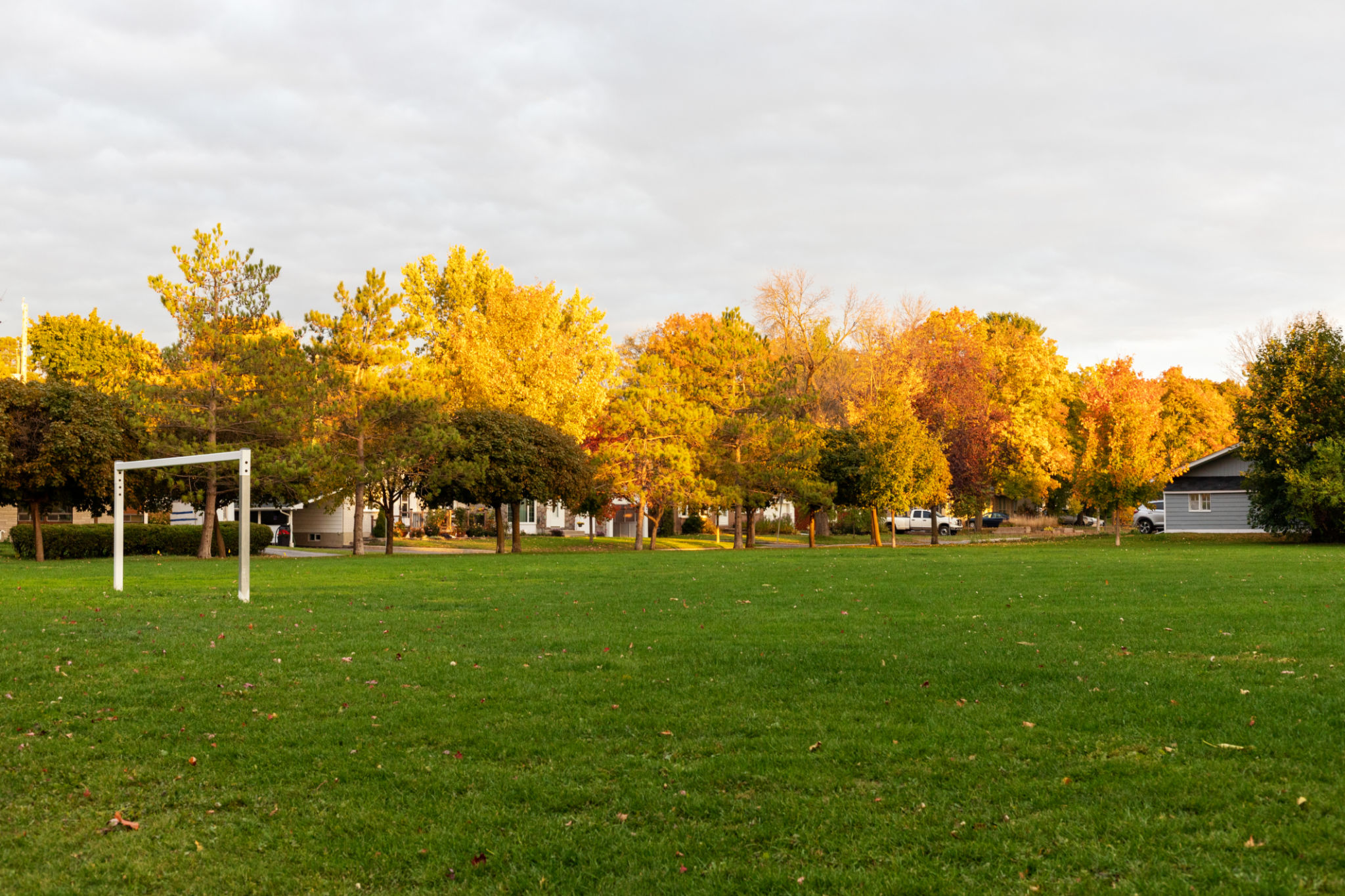 autumn school