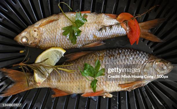 steaming fish food - healthy eating,france - fischfutter stock-fotos und bilder