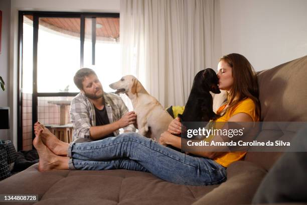 couple playing with their dogs at home - familie sofa stock pictures, royalty-free photos & images