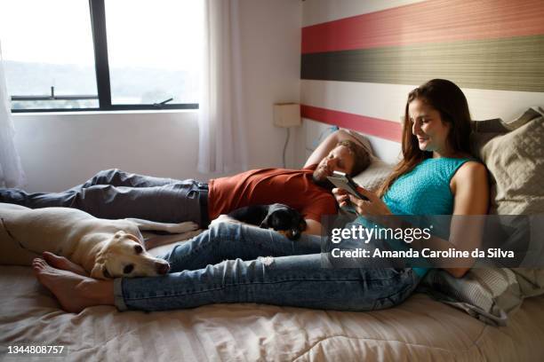 couple lying in bed with their dogs while woman uses cell phone - familie sofa stock pictures, royalty-free photos & images