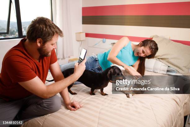 couple playing with their dogs at home - familie sofa stock pictures, royalty-free photos & images