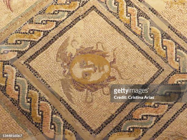 Roman mosaic in the Regional Archaeological Museum on February 25, 2021 in Alcala de Henares, Madrid, Spain.
