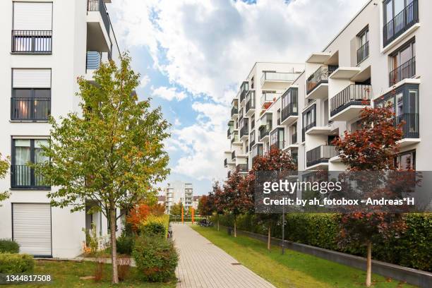 cityscape with modern residential area, new apartment buildings and green courtyard with pavement and trees in autumn - atrium grundstück stock-fotos und bilder