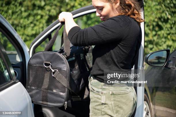 millennial woman and newly adopted kitten in pet carrier in car. - pet carrier stock pictures, royalty-free photos & images