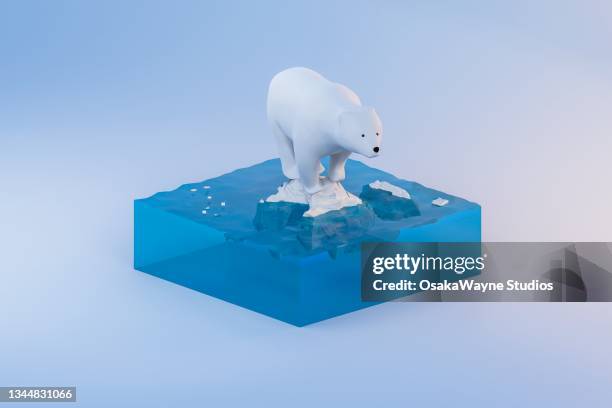 sea water with polar bear on top of floating ice flow - ice floe stock pictures, royalty-free photos & images