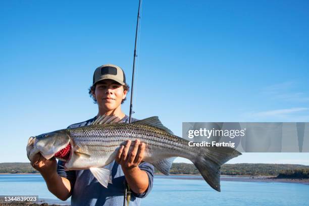 a proud fisherman with a large striped bass - catch of fish stock pictures, royalty-free photos & images