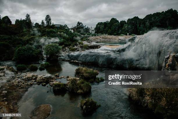 whakarewarewa thermal park in rotorua, new zealand - géiser pohutu imagens e fotografias de stock