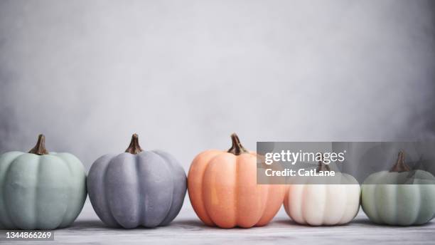 citrouilles de couleur pastel avec fond gris clair pour thanksgiving - cat white background photos et images de collection