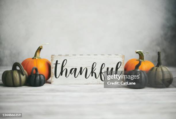thanksgiving-hintergrund mit thankful-nachricht und kürbissammlung - kalebasse stock-fotos und bilder