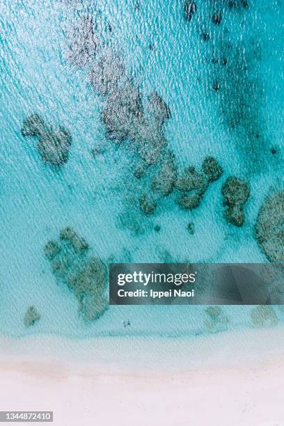 aerial view of tropical beach and snorkelers, okinawa, japan - okinawa aerial stock pictures, royalty-free photos & images