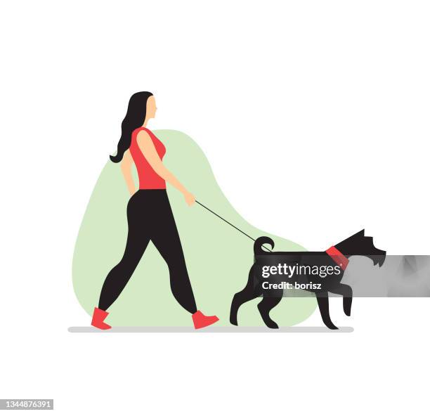 illustrazioni stock, clip art, cartoni animati e icone di tendenza di giovane donna che cammina cane. - walking illustration