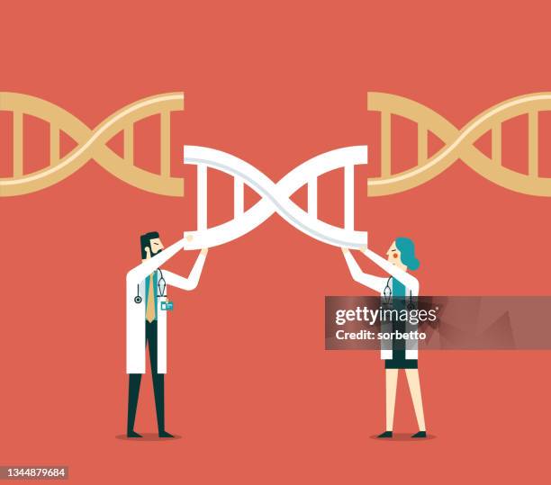 ilustrações de stock, clip art, desenhos animados e ícones de genetic engineering - conjugation biological process