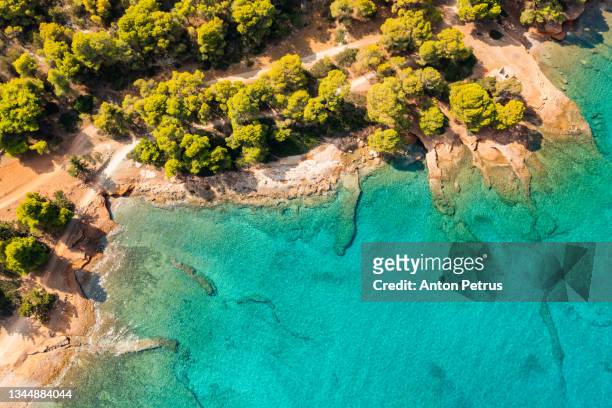 beautiful bay with clear water and a coastline with pine trees. moni island, greece. aerial view - mar egeo fotografías e imágenes de stock