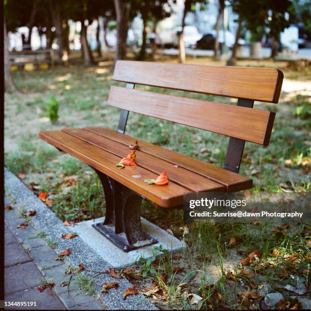 a wooden bench in a park - sunrise@dawn photography stockfoto's en -beelden