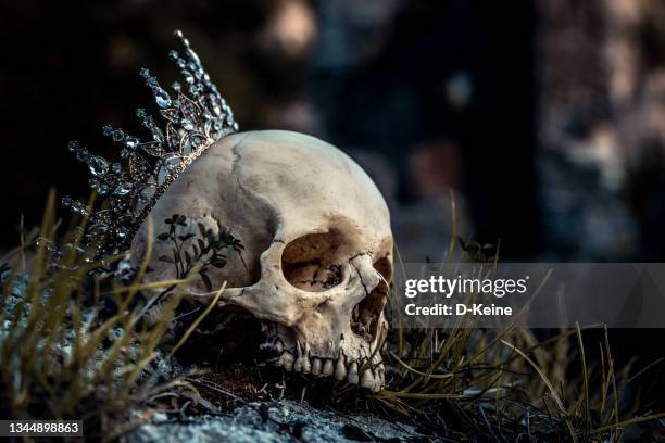 skull - crown skull stock pictures, royalty-free photos & images