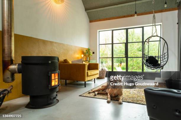 interior of a loft. wood stove with a senior dog. living room with midcentury modern furniture. concrete floor. mustard yellow loveseat. hanging rotan chair. vintage carpet. eclectic living room. - wood burning stove stock pictures, royalty-free photos & images
