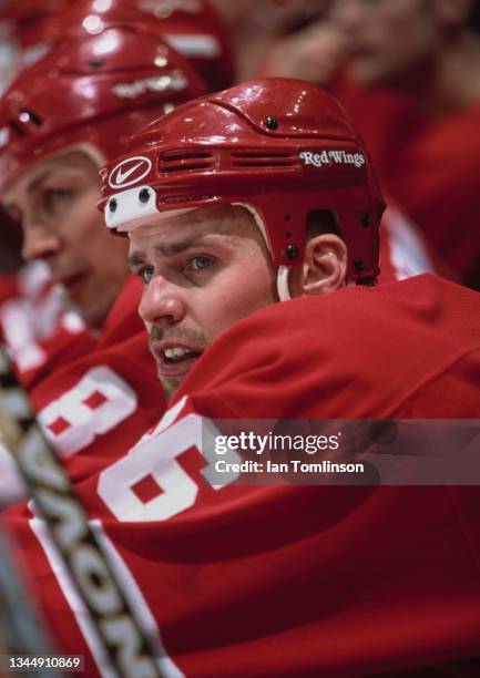 Tomas Holmstrom from Sweden and Right Wing for the Detroit Red Wings looks on from the team bench during the NHL Western Conference Northwest...