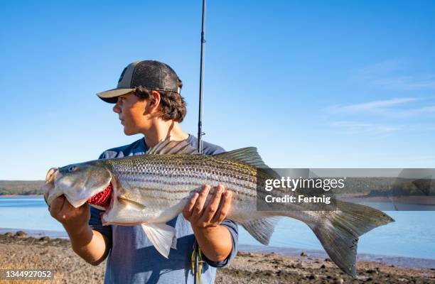 nice catch - surf casting stock pictures, royalty-free photos & images