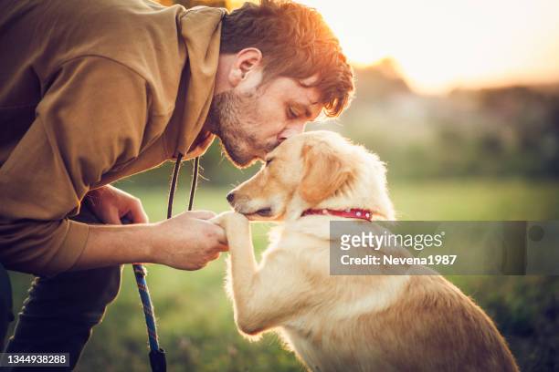 happy man training with his dog in the nature - hond stockfoto's en -beelden