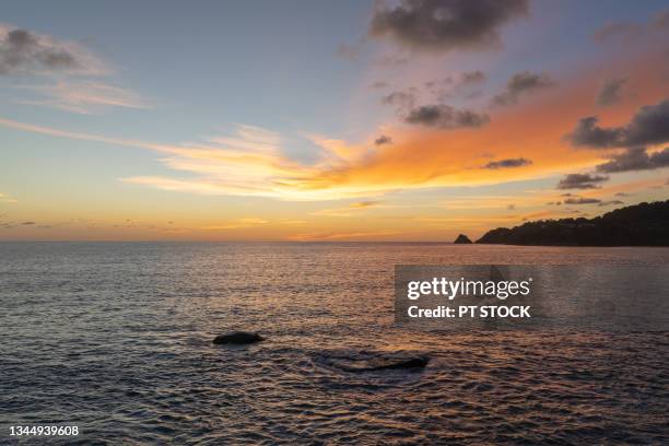 coconut trees, the sea and the sunset - sea stock illustrations ストックフォトと画像