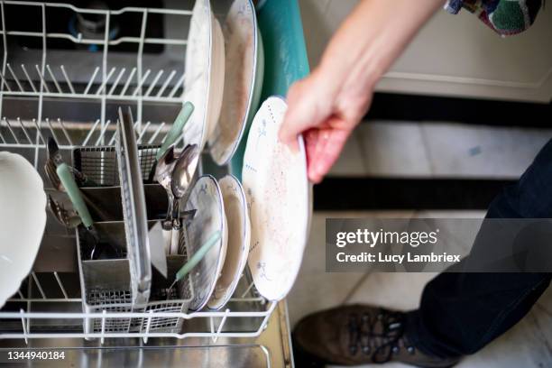 loading the dishwasher - washing dishes bildbanksfoton och bilder