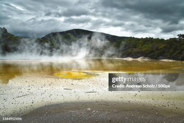 1.073 Archaea Stock Photos, High-Res Pictures, and Images - Getty Images