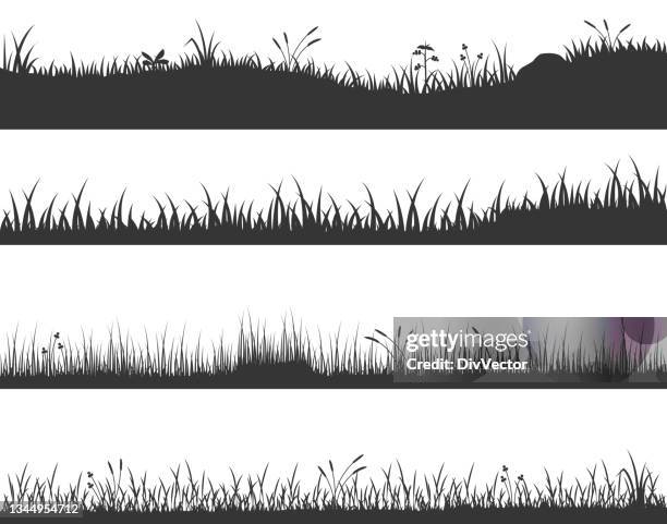 ilustraciones, imágenes clip art, dibujos animados e iconos de stock de fondo vectorial de hierba - césped