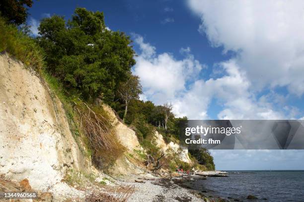 chalk cliffs at rügen/ germany - rügen island chalk cliffs stockfoto's en -beelden