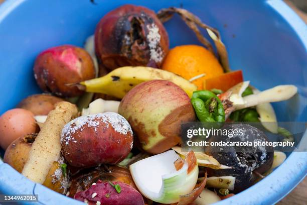 organic food for compost - leftovers 個照片及圖片檔