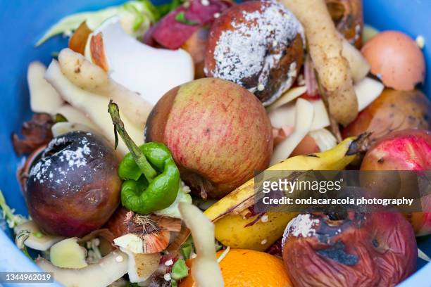 organic food for compost - rot stock pictures, royalty-free photos & images