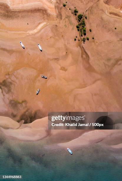 aerial view of people on beach,sur,oman - persian gulf countries stock pictures, royalty-free photos & images