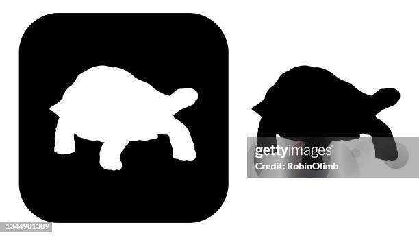 schwarz-weiß-schildkröten-ikonenschwarze und weiße schildkröten-ikonen - tortoise stock-grafiken, -clipart, -cartoons und -symbole