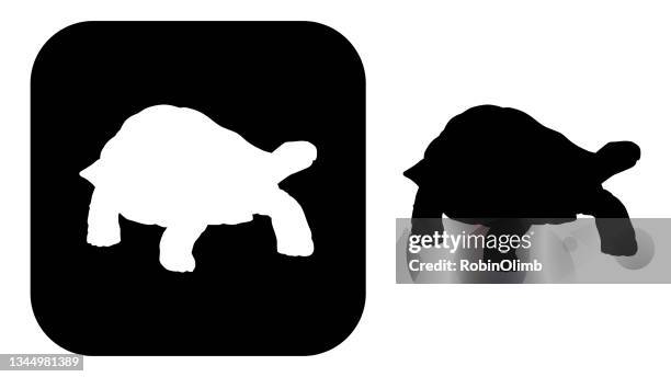 stockillustraties, clipart, cartoons en iconen met black and white tortoise iconsblack and white tortoise icons - schildpad