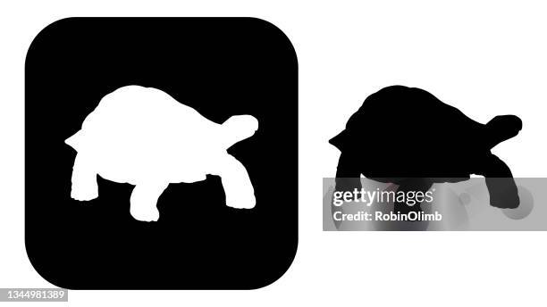bildbanksillustrationer, clip art samt tecknat material och ikoner med black and white tortoise iconsblack and white tortoise icons - landsköldpadda