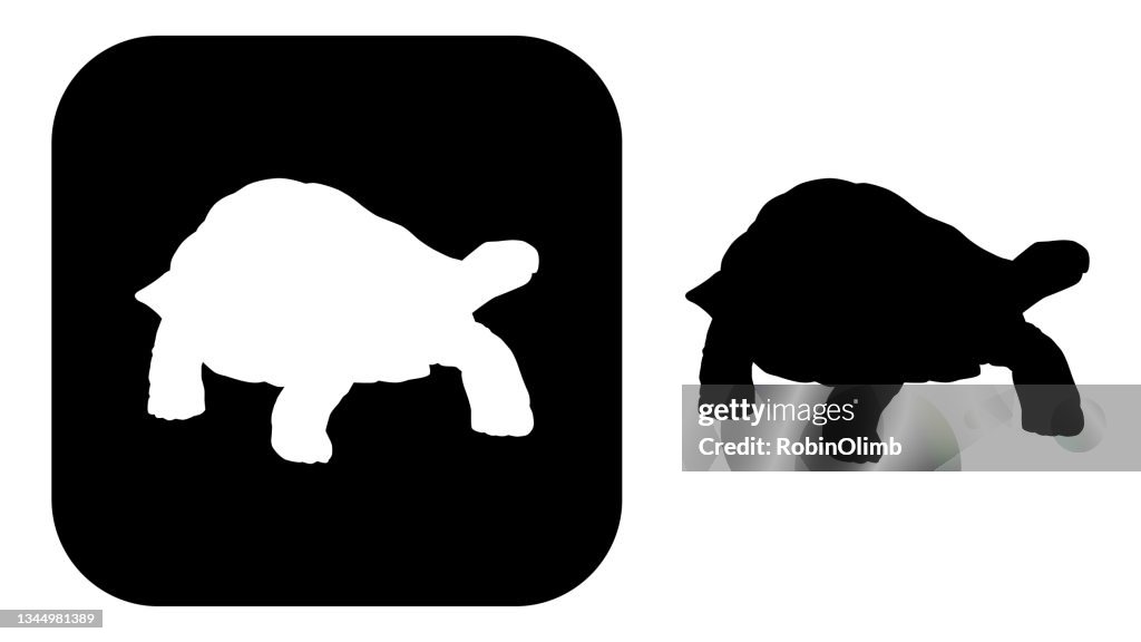 Black And White Tortoise IconsBlack And White Tortoise Icons