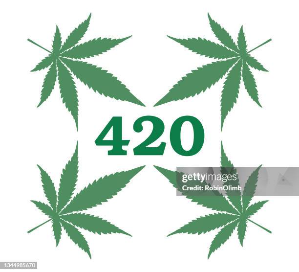 stockillustraties, clipart, cartoons en iconen met four twenty green marijuana leaves - marijuana leaf text symbol