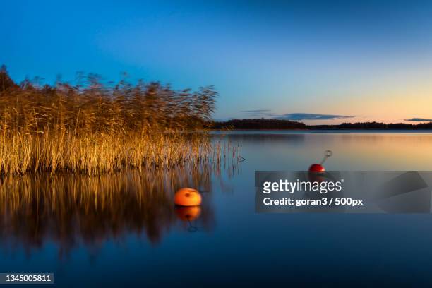 scenic view of lake against sky at sunset,uppsala,sweden - soluppgång stock pictures, royalty-free photos & images